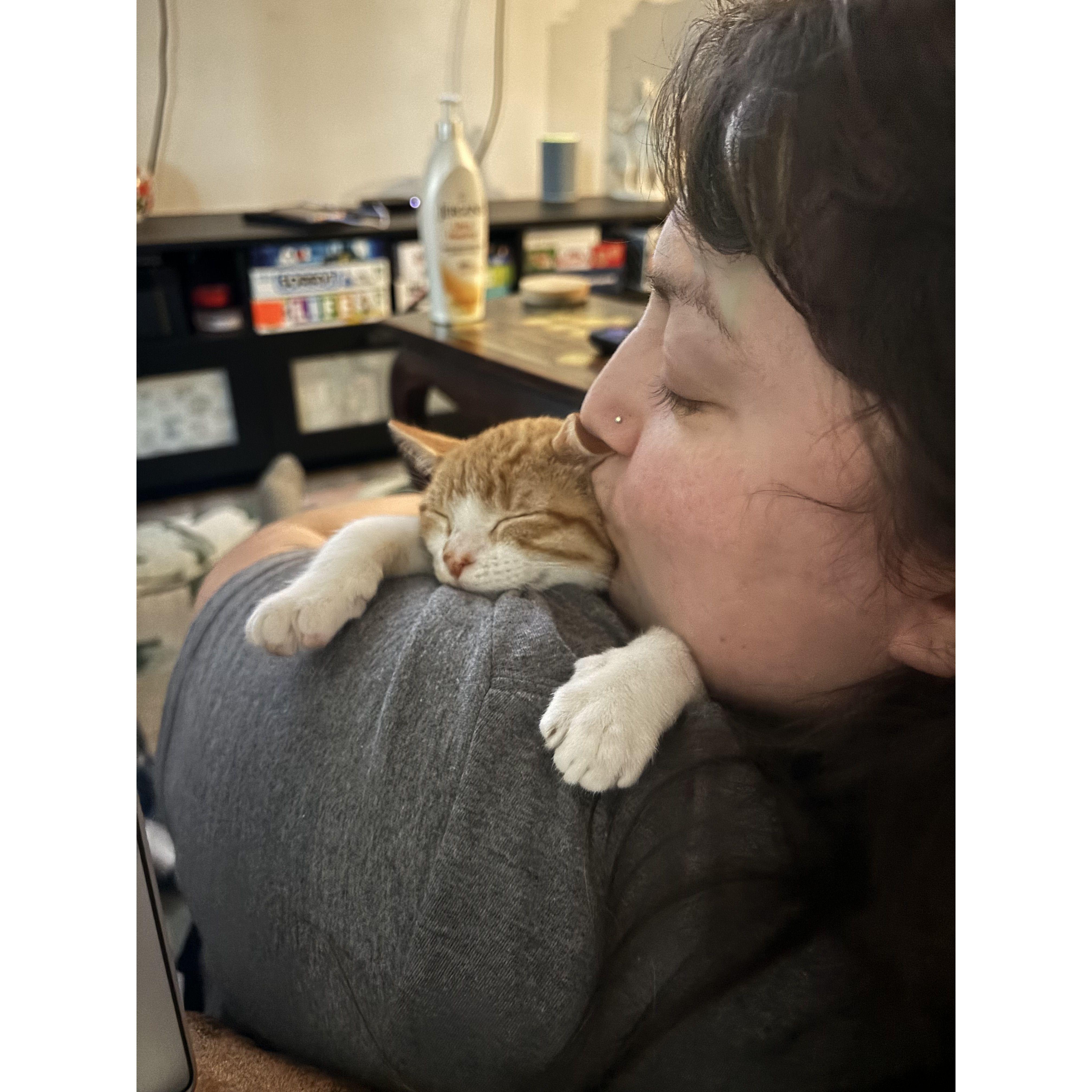 Baby Kiki Dee! Ever since the day we brought her home, she has been the cuddliest little cat. She often sleeps in our arms. -Carissa