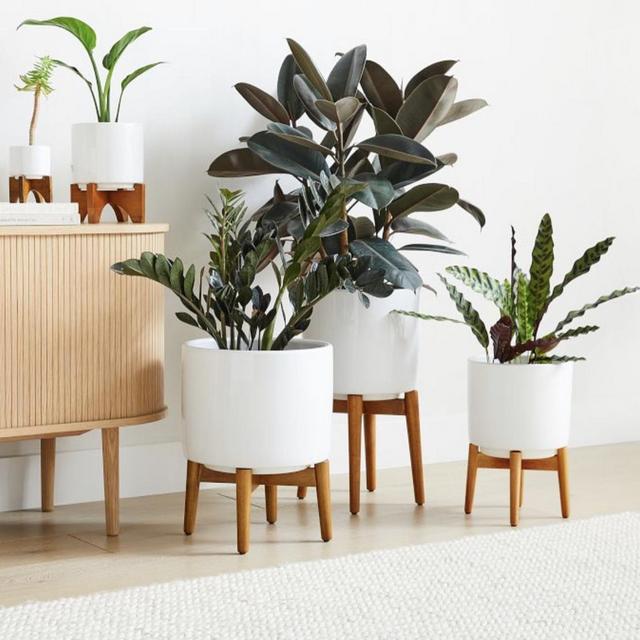 WEST ELM - BLOOM TAMARIND WOOD BOWL