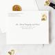 pdp_back_envelope