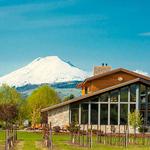 Mt. Hood Winery
