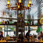 Cocktail Bars