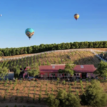 Frangipani Estate Winery