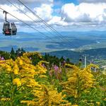 Stratton Mountain Resort - Gondola Ride