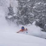 Alta Bird Single / Multi Day Lift Passes