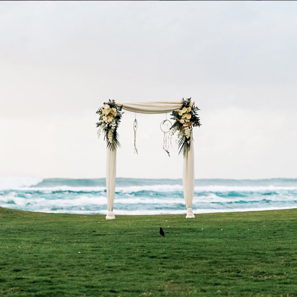 The Wedding Website of Jonathon Giannakos and Kisa Nakashima