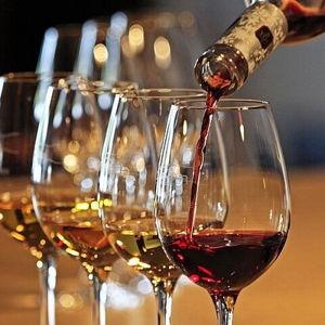 Cata de vinos en Chianti