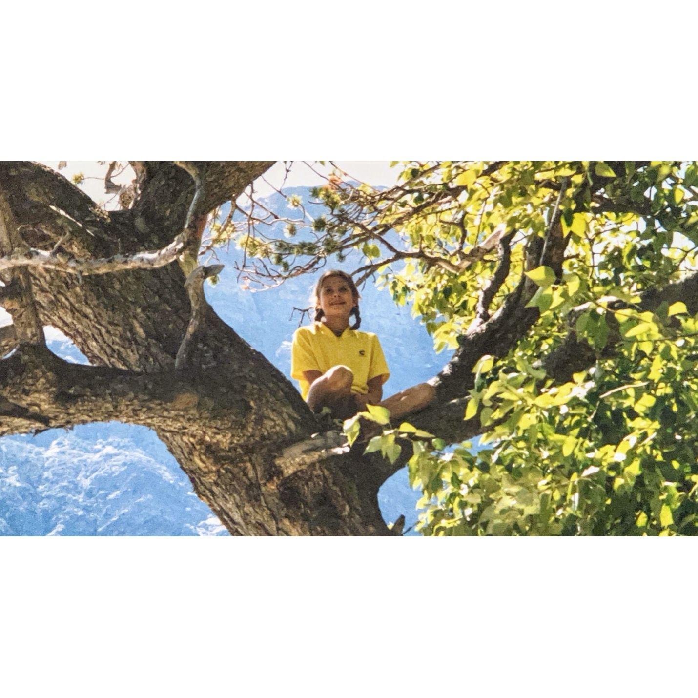 Meanwhile, Liza climbed trees to get a better view of love on the horizon.