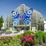Krohn Conservatory