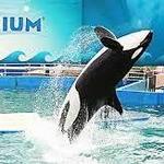 Miami Seaquarium