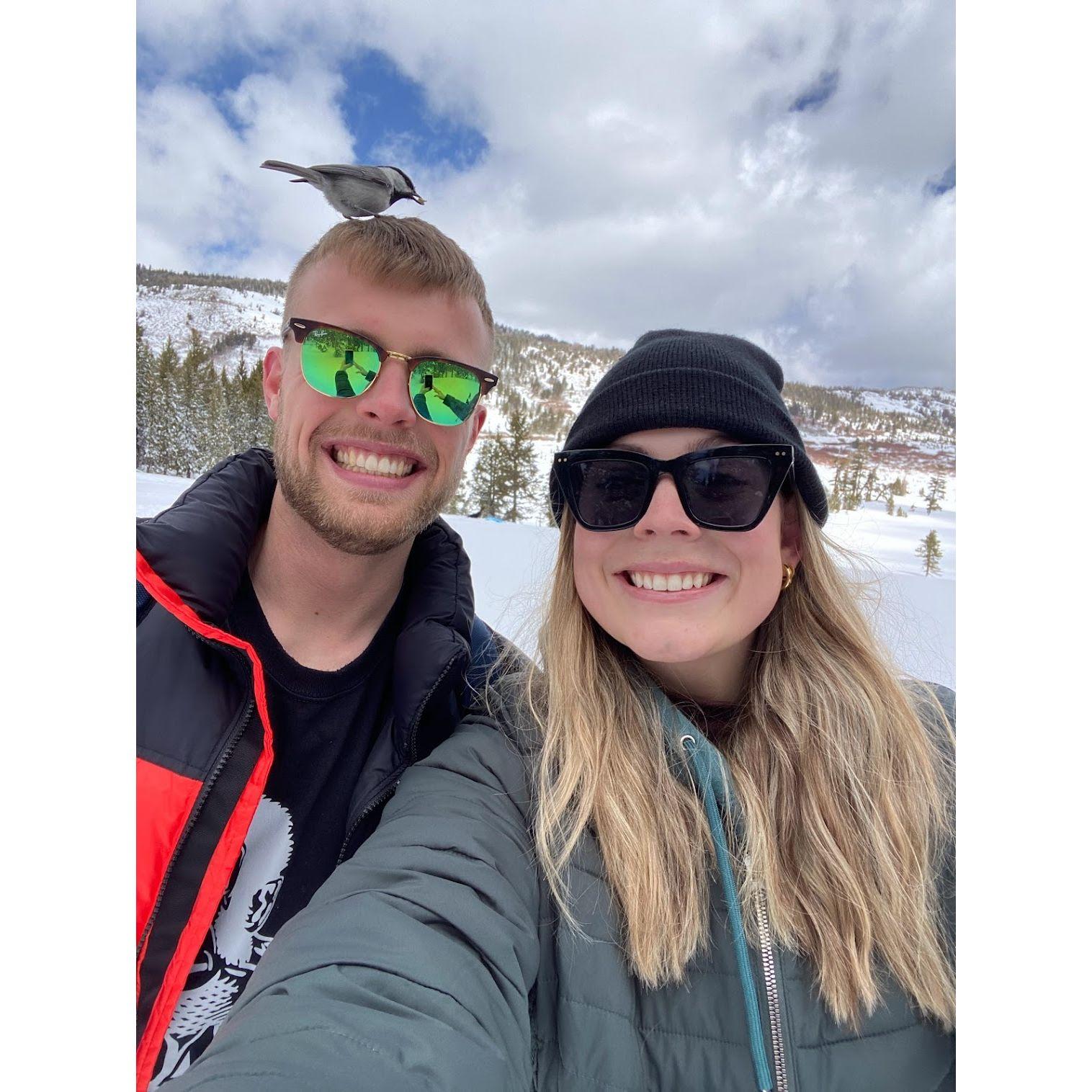 Snowshoeing in Mt. Rose - April 2022