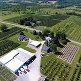 Dawson's Orchards, Inc.