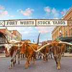 Fort Worth Stockyards