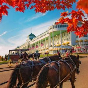 Mackinac Island Carriage Tour & Butterfly House