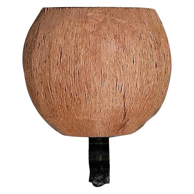 Cruiser Candy Coconut Cup Holder, No Face