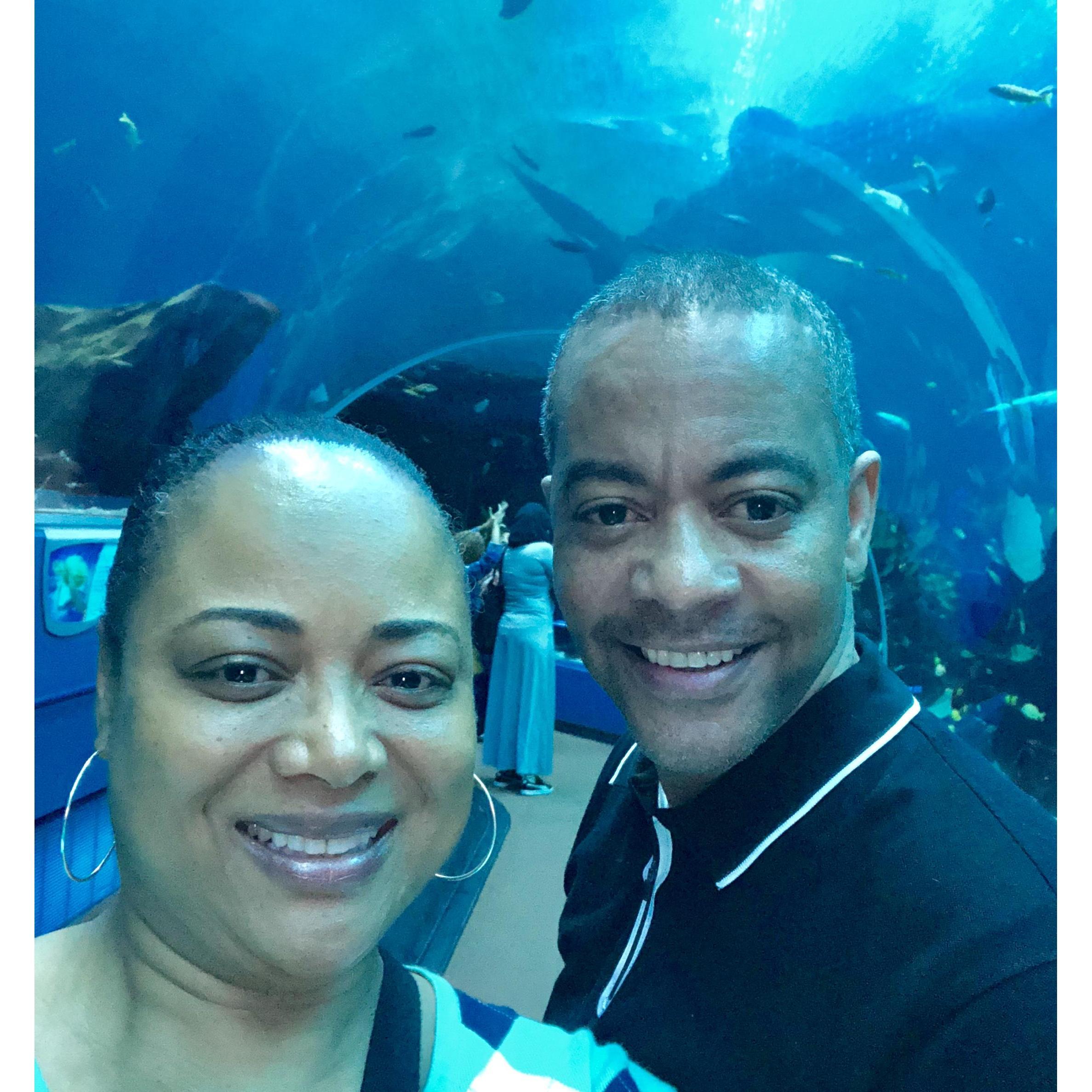 Sea of Love....we fell in love @ the Atlanta Aquarium!