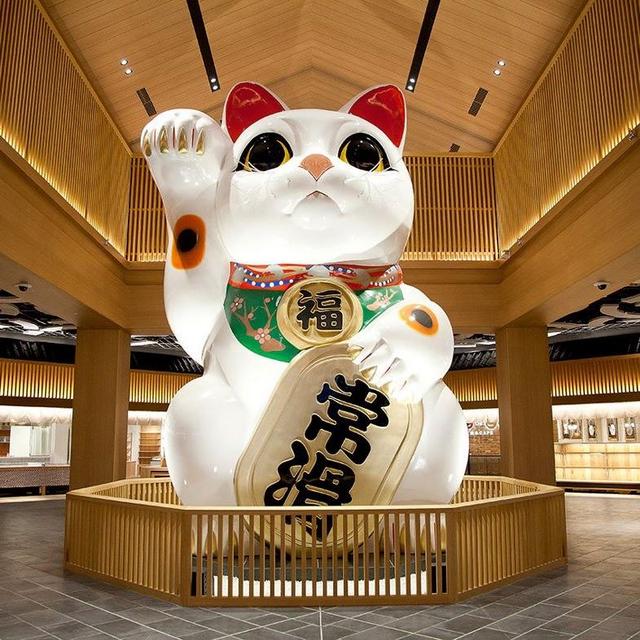 Honeymoon to Japan