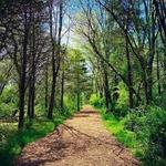 Pleasant Valley Park