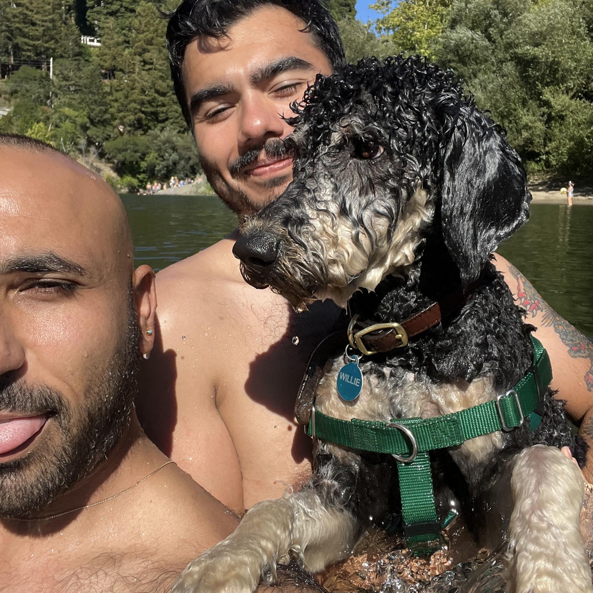 Willie has loved water since he was a baby, yet on this day at the Russian River in Guerneville, he became a swim instructor. Willie's best friend (our next door neighbor's dog) followed his lead and learned to swim, despite avoiding water for 5 years! It was a good day.