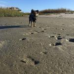 Midway Inlet