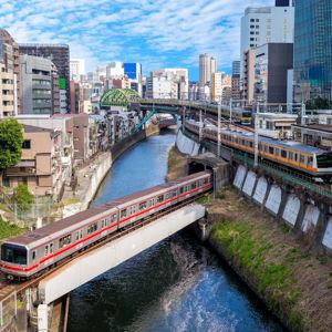 Train, buses and taxis