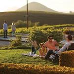 Baileyana Wine Tasting