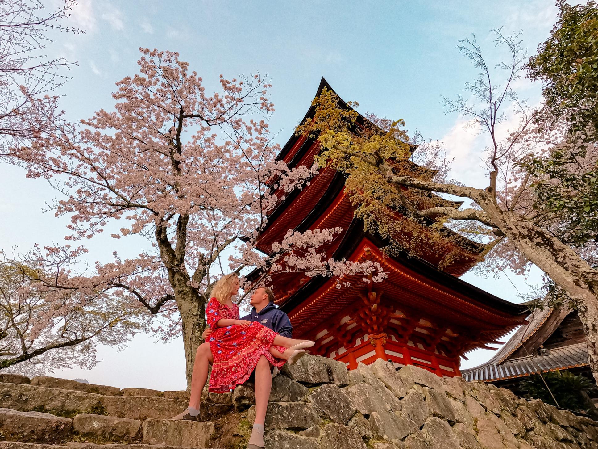 The Wedding Website of Sophia Novak and Elisha Dawson