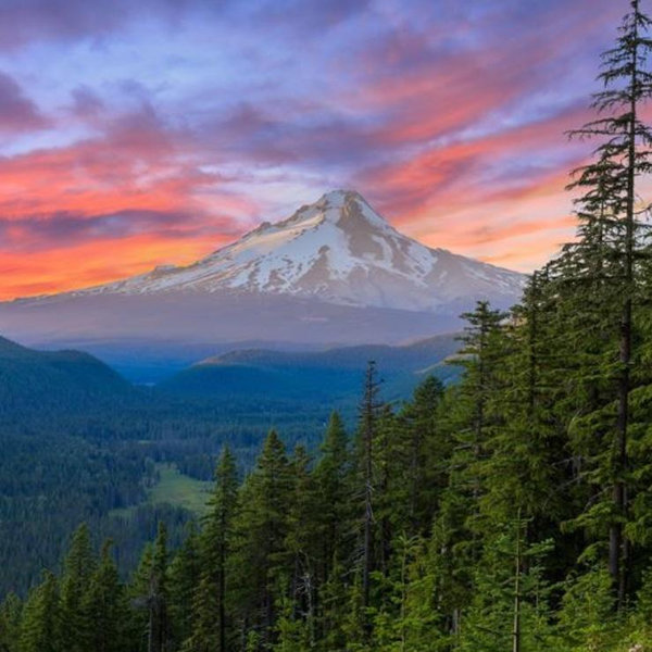 Honeymoon in PNW