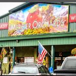 Mercier Orchards