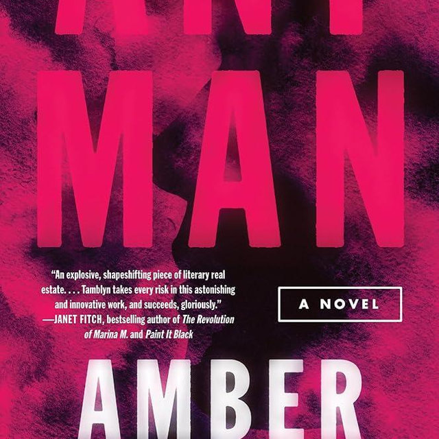 Any Man: A Novel