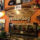 Yesterdog
