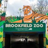Brookfield Zoo