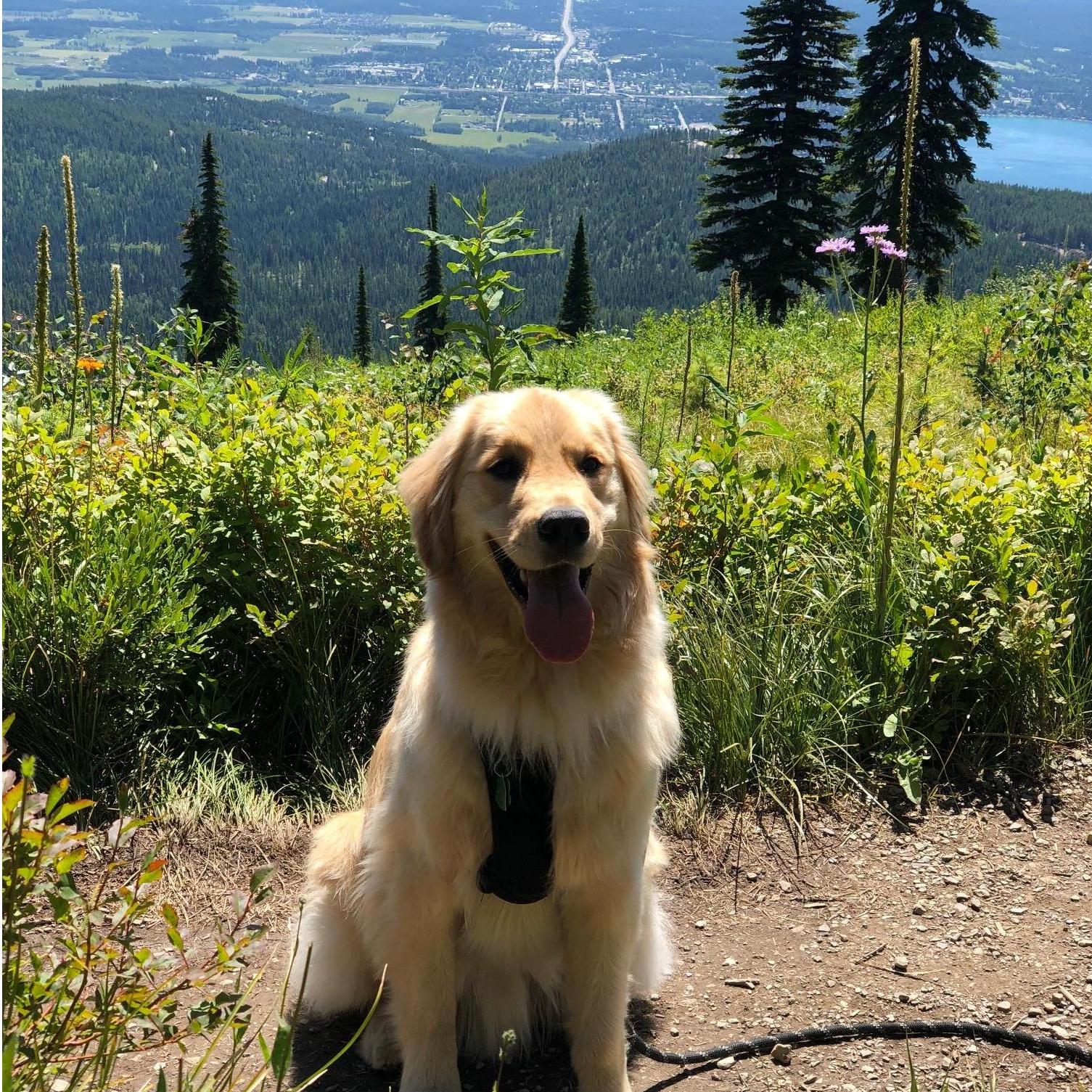 Phil on Big Mountain, Whitefish MT