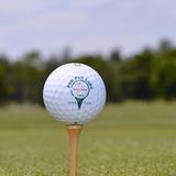 Paw Paw Lake Golf Club