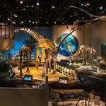 Perot Museum of Nature and Science