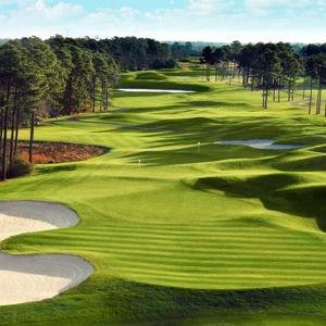 Golf Fund