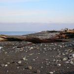 Dungeness National Wildlife Refuge