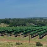 Torr Na Lochs Vineyard & Winery