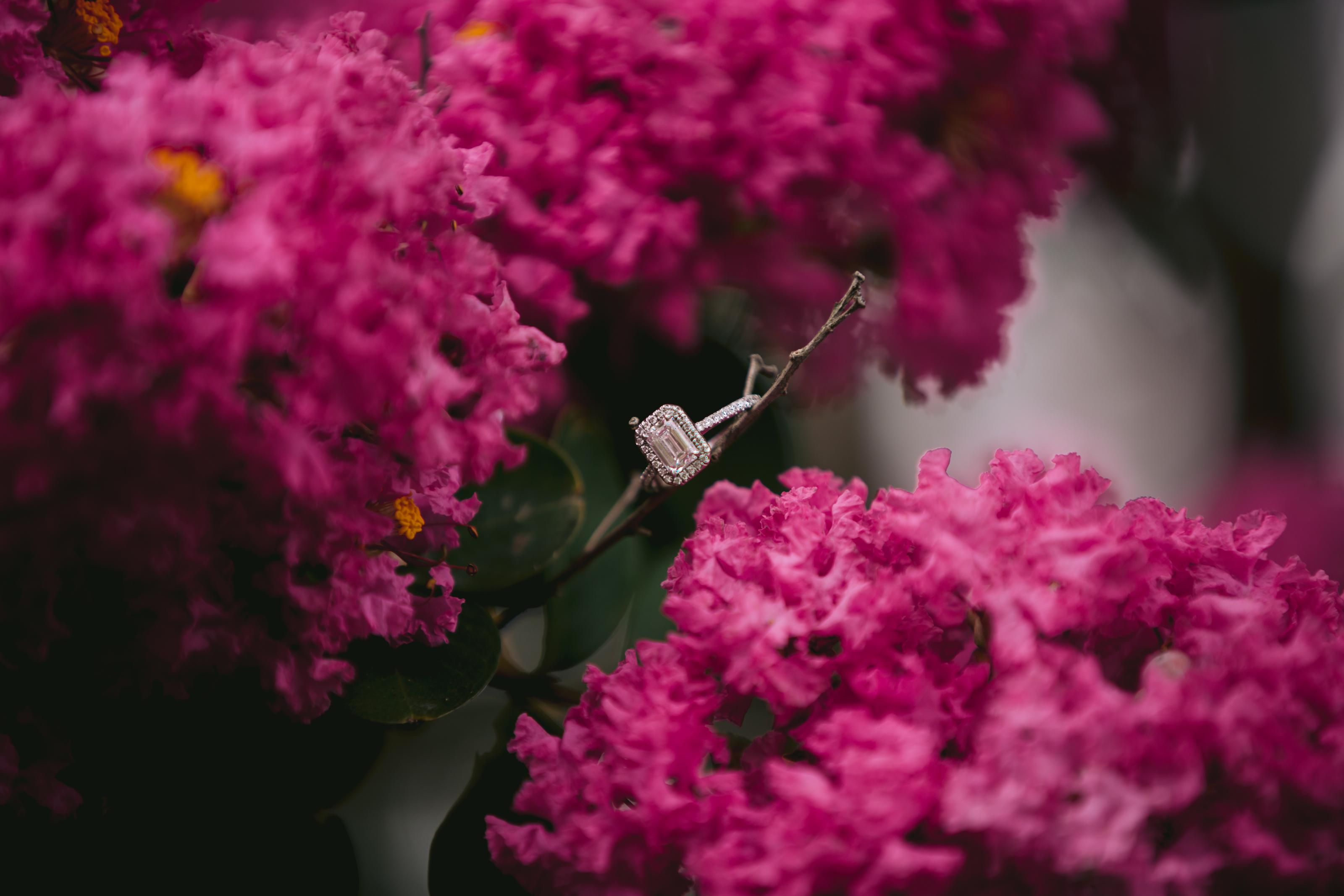 The Wedding Website of Maya Almeida and Joe Maldonado