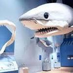 South Carolina State Museum