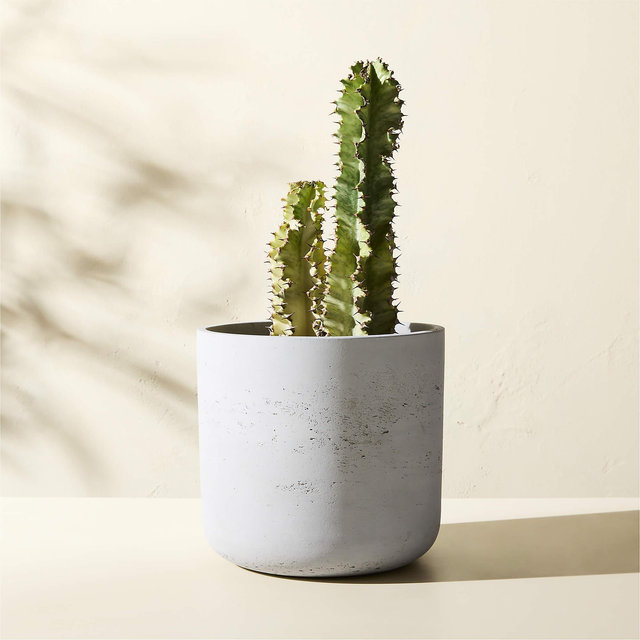 Seminyak Grey Cement Indoor/Outdoor Small Planter 9.5"H