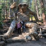 Breckenridge Troll