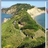 JEEP TOUR/ WINE TASTING & CELLARS