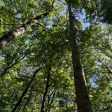 Kensington Metropark