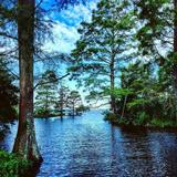 Munden Point Park