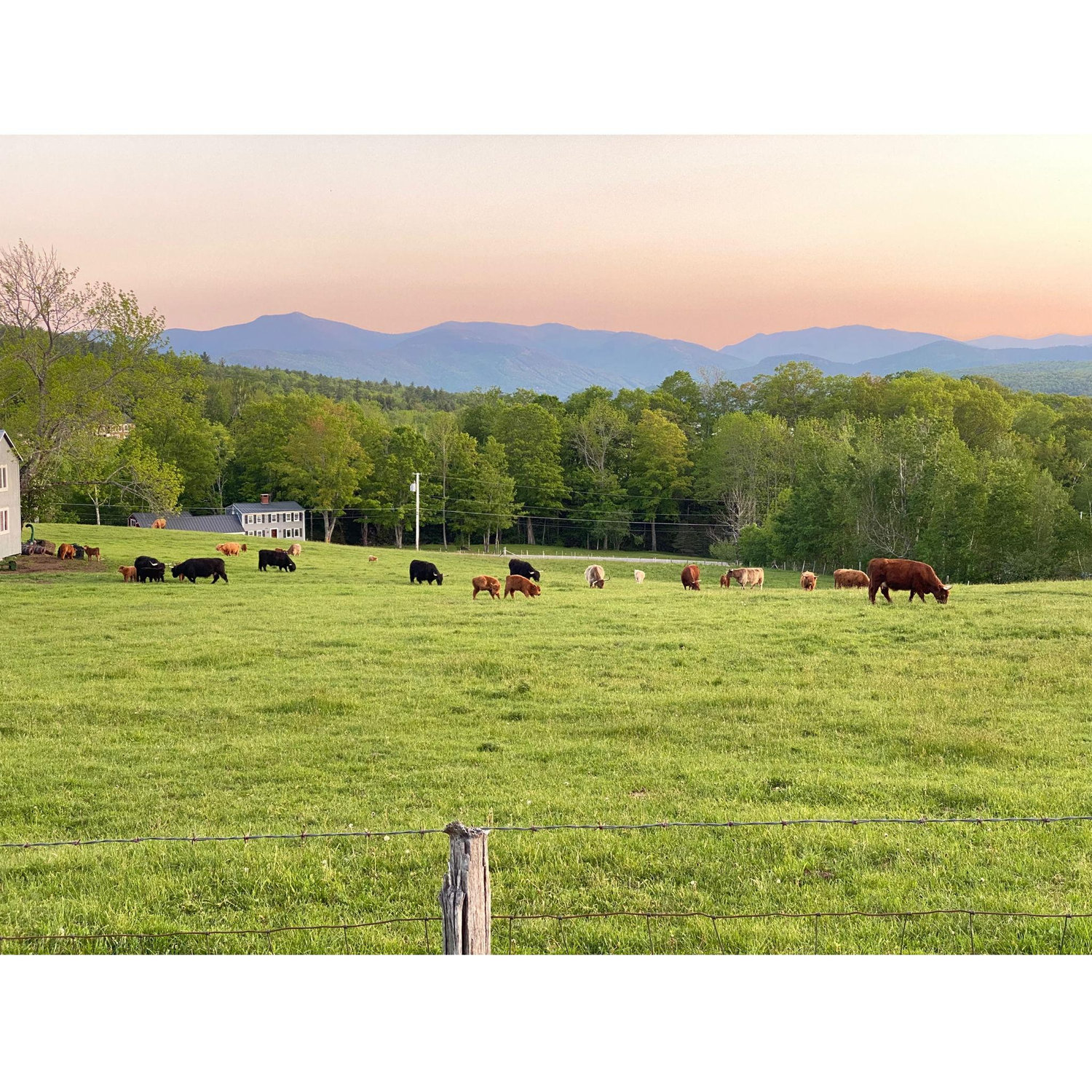 Our first trip together was to Jackson, NH. We still talk about admiring this view.
