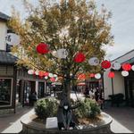 Japanese Village Plaza