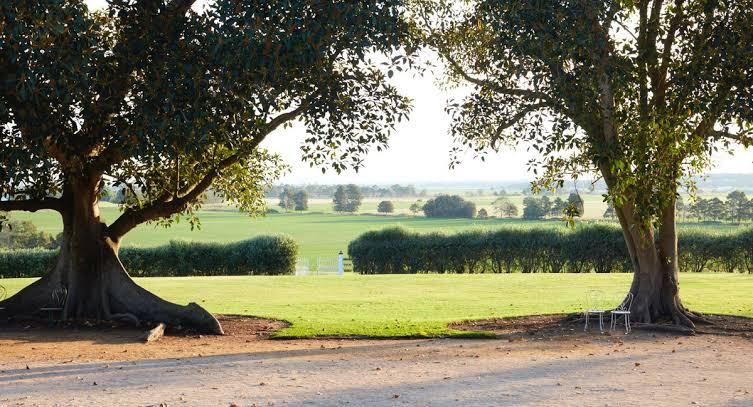 The Wedding Website of Rachel Hobday and Anthony Herrera