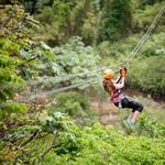 Toro Verde Adventure Park Parque