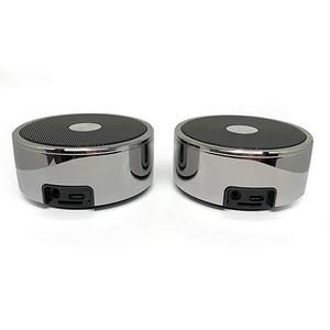 True Wireless Speakers