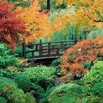 Washington Park
